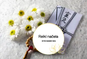 Pet reiki načela